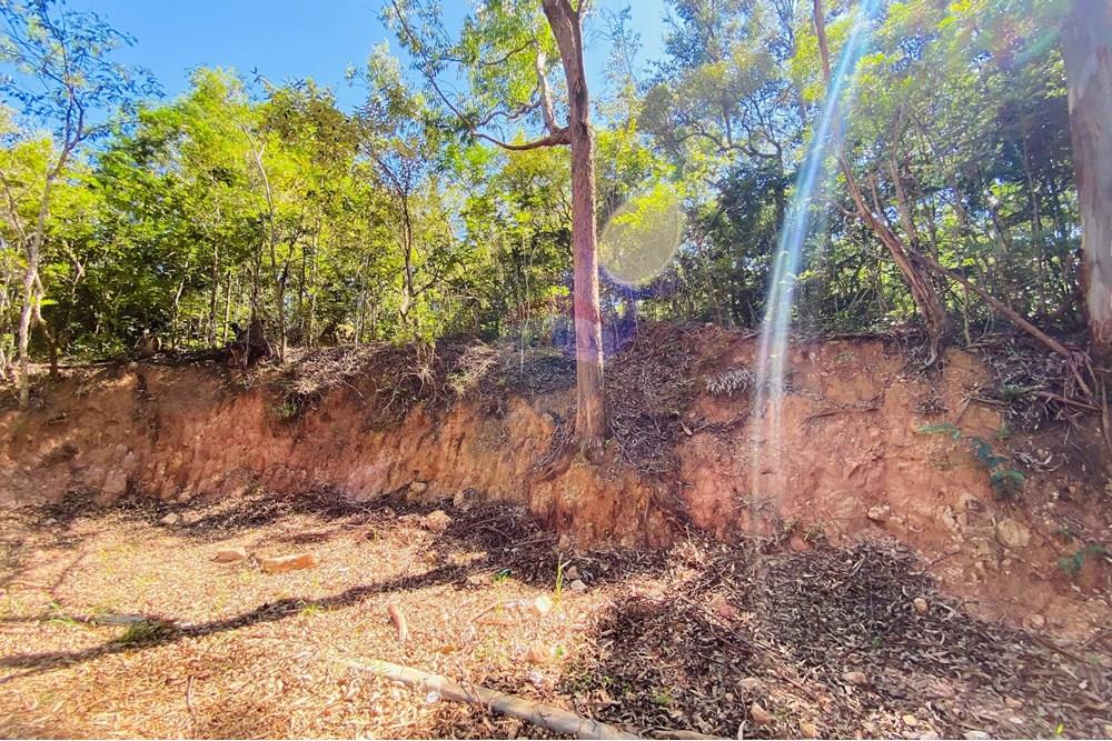 Terreno - Venda - Atibaia , São Paulo - IMG_0077.jpg - 690921107-2