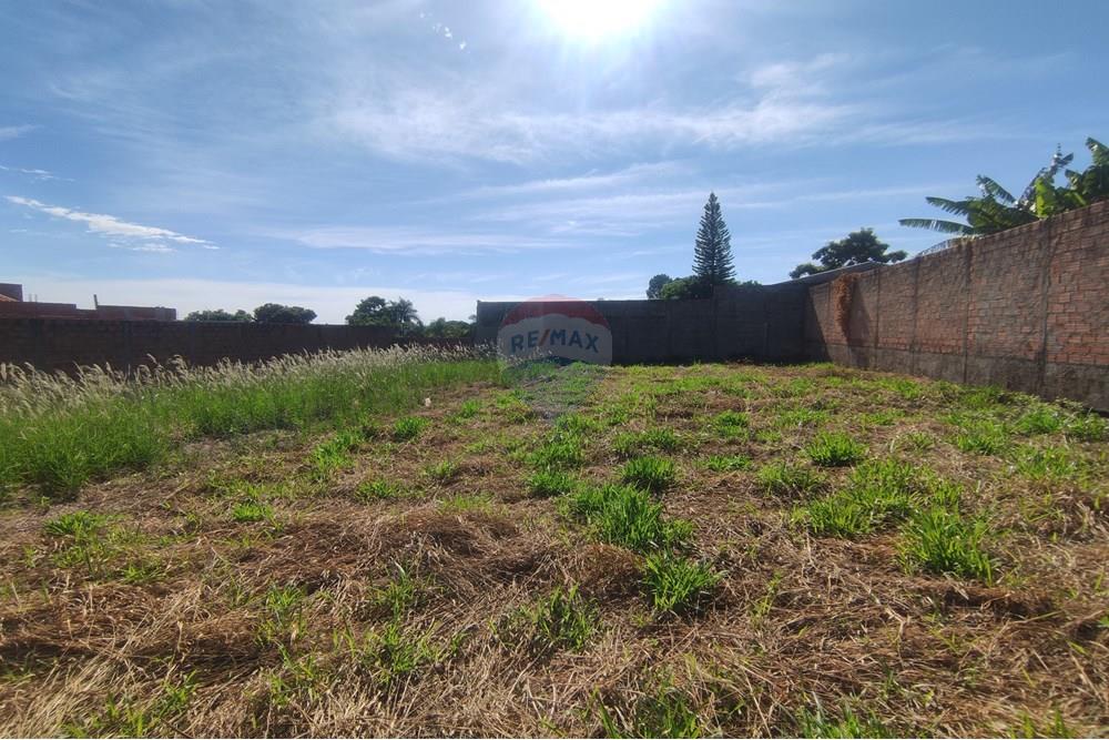 Terreno - Venda - Mogi Mirim , São Paulo - IMG_20250417_093235.jpg - 690751048-122