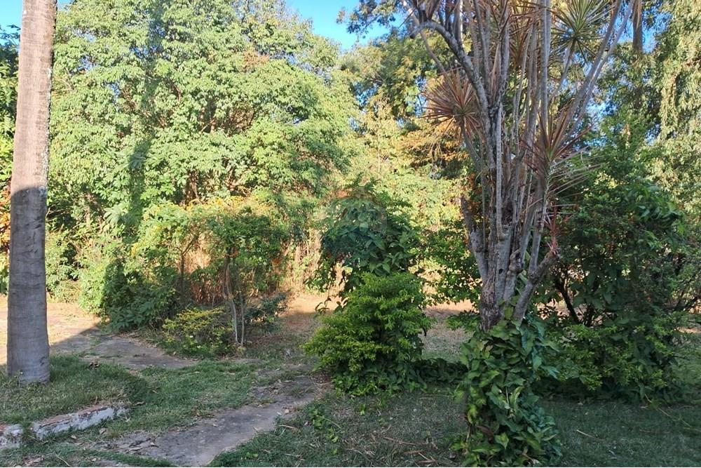 Chácara / Sítio / Fazenda - Venda - Mogi Mirim , São Paulo - chacara paola 12.jpeg - 690751036-62