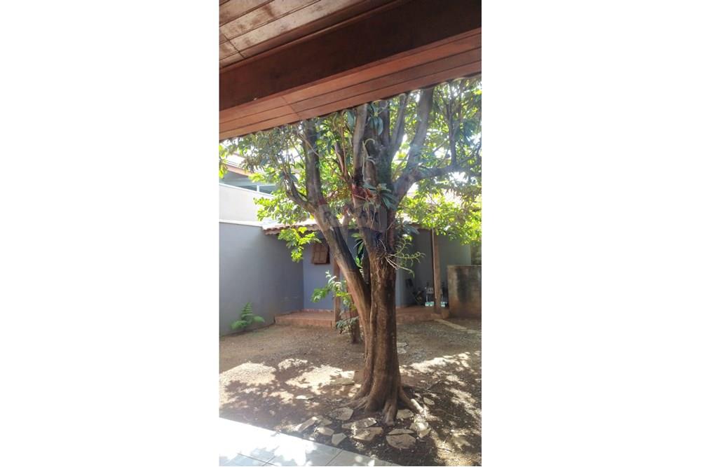 Casa - Venda - Paulínia , São Paulo - WhatsApp Image 2025-05-15 at 15.44.27.jpeg - 690511227-4