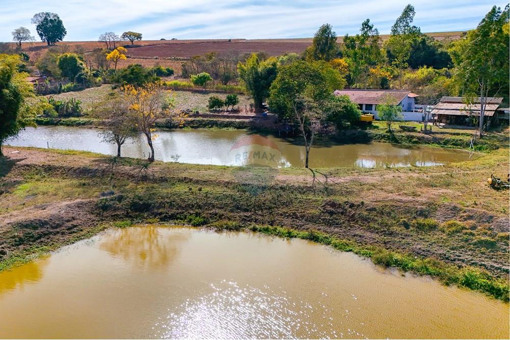 Chácara / Sítio / Fazenda - Venda - Santa Cruz da Conceição , São Paulo - Tratada-30.jpg - 690481001-177
