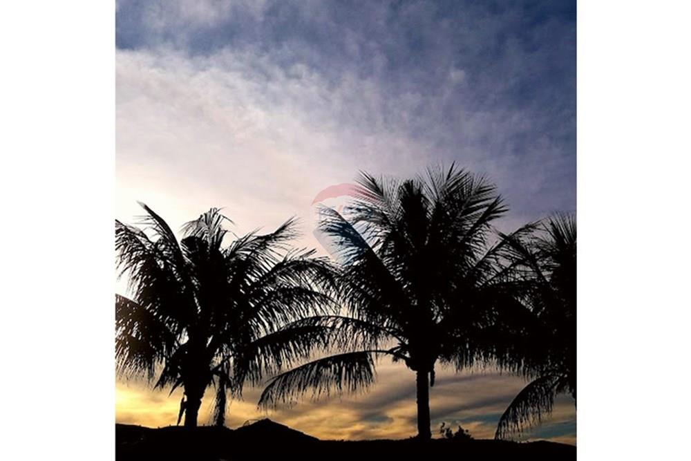 Hotel/ Pousada - Venda - Socorro , São Paulo - 2016-12-31.jpg - 690291056-29