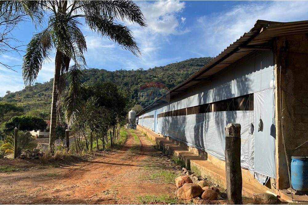 Chácara / Sítio / Fazenda - Venda - Bragança Paulista , São Paulo - GRANJA TANQUE (12).jpg - 690141085-32