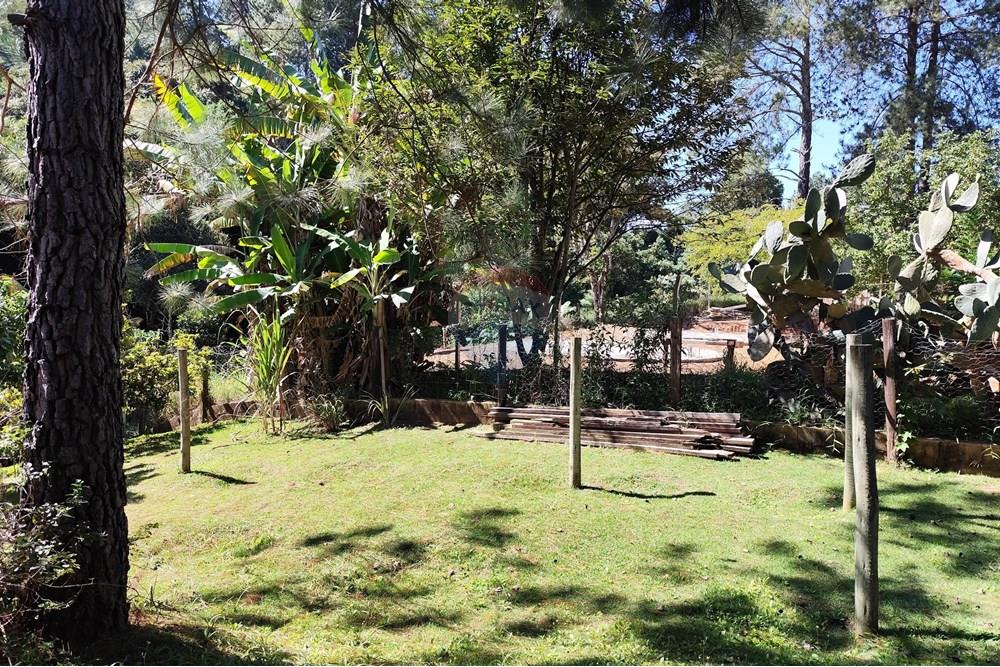 Casa - Venda - Águas de Lindóia , São Paulo - 1747830098660.jpg - 690291077-221