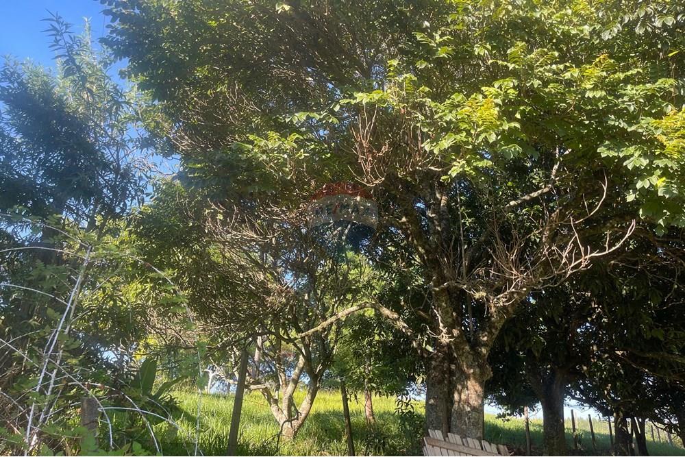 Terreno - Venda - Bragança Paulista , São Paulo - H - Foto Terreno Portal Barragem Jacareí 11.jpg - 690041052-92