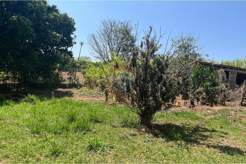 Chácara / Sítio / Fazenda - Venda - Valinhos , São Paulo - WhatsApp Image 2025-10-27 at 09.33.48 (5).jpeg - 691181004-89