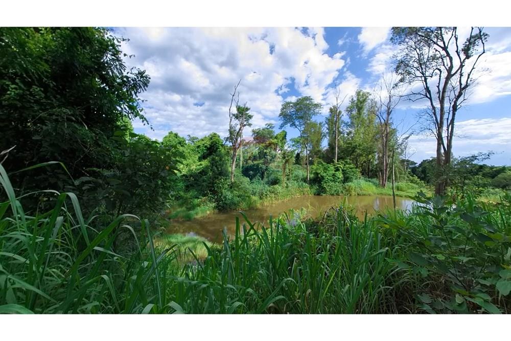 Chácara / Sítio / Fazenda - Venda - Araras , São Paulo - IMG_20250115_160512_00_390_PureShot.jpg - 690691016-236