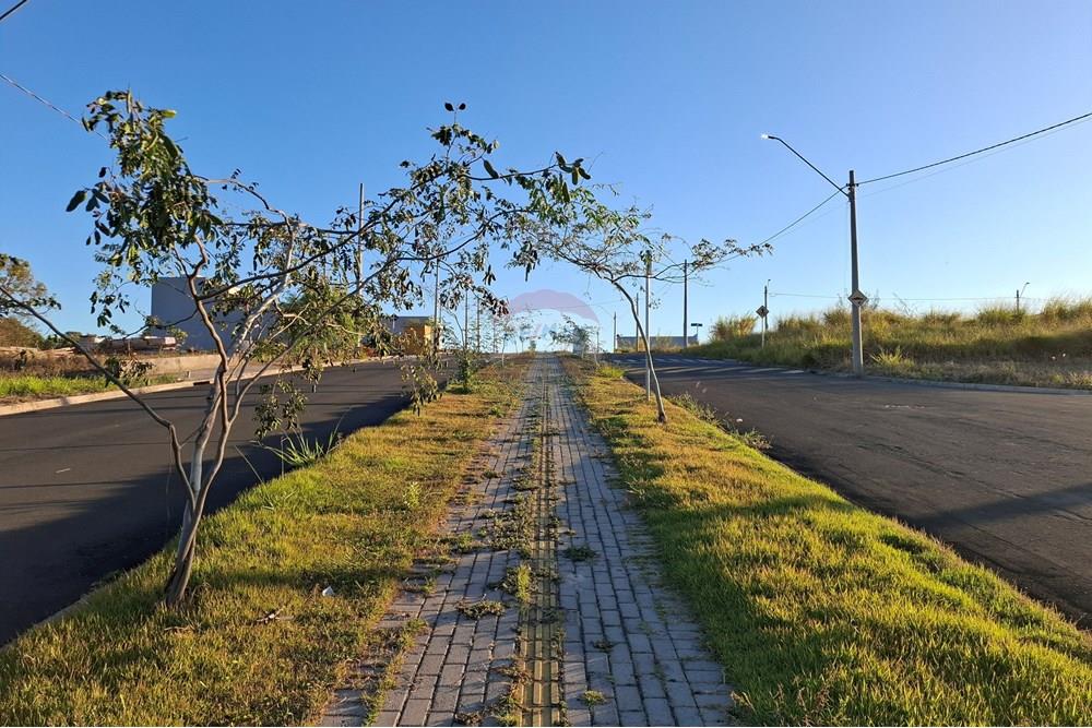 Terreno - Venda - São João da Boa Vista , São Paulo - 20250601_164303.jpg - 690681090-39