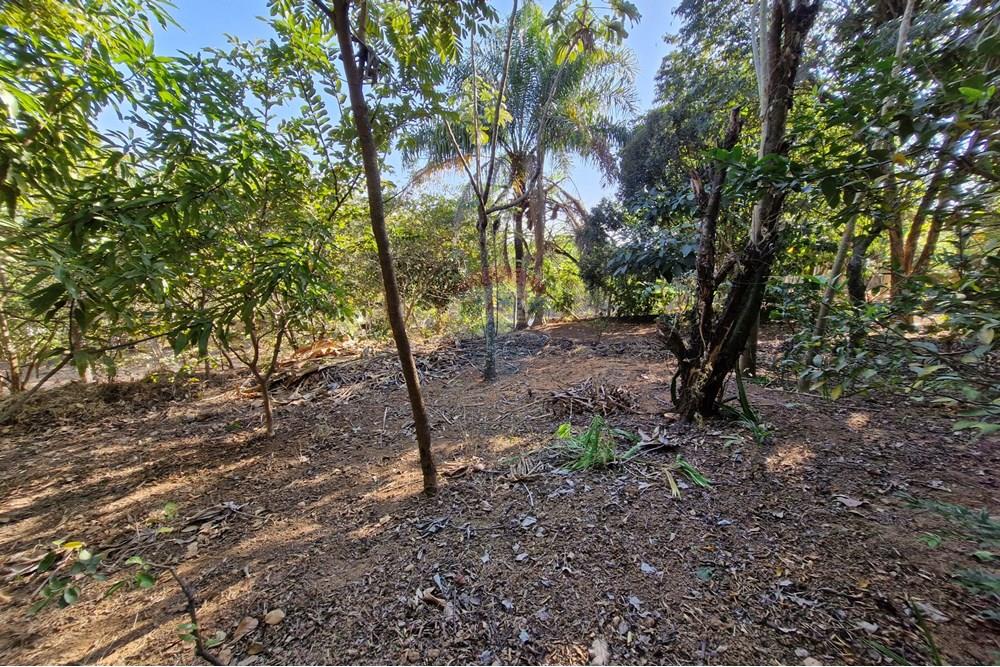 Terreno - Venda - Jaguariúna , São Paulo - 20250814_151929.jpg - 690671008-324