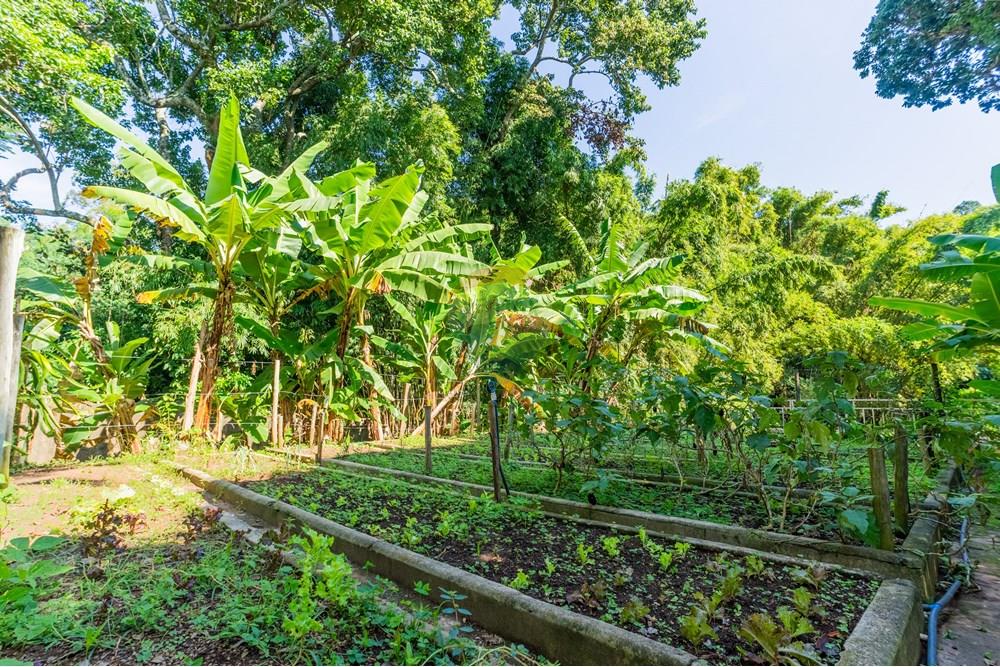 Casa - Venda - Campinas , São Paulo - FOTOS REMAX-69.jpg - 690491062-150