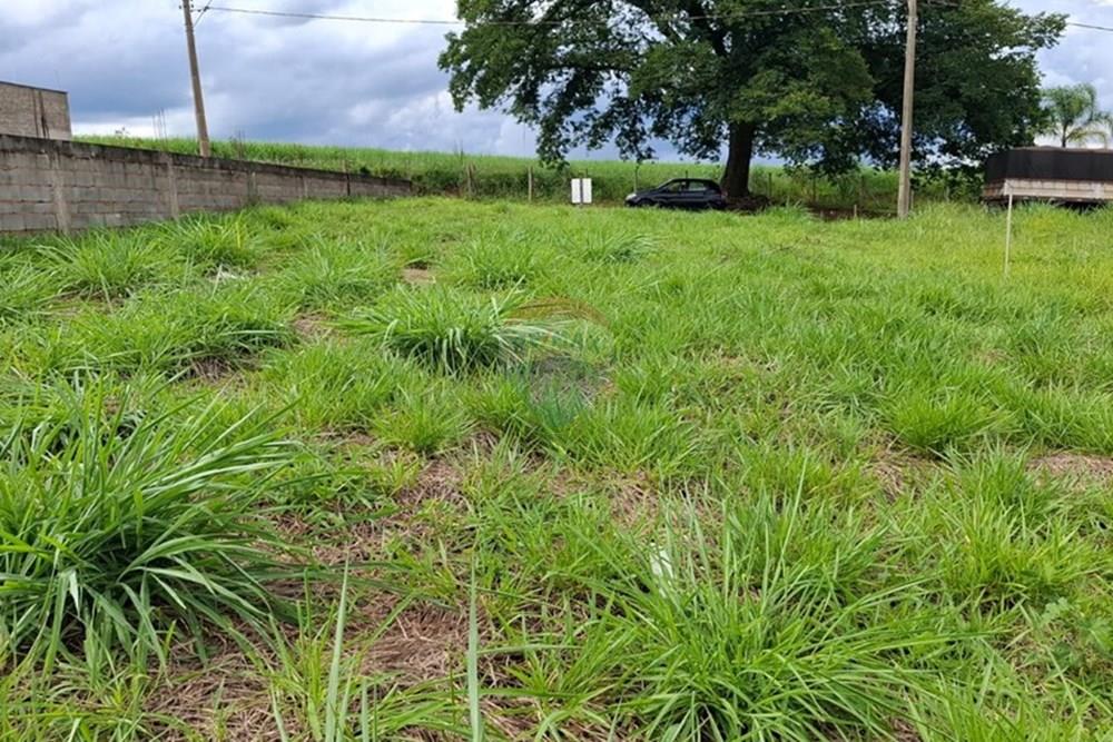 Terreno - Venda - Aguaí , São Paulo - Foto 9.jpg - 690751025-97