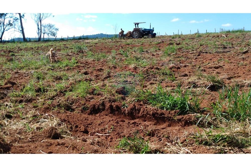 Fazenda - Venda - Campestre , Minas Gerais - 8c4e57f7-0cf9-4c28-9cab-dbd6c5e75673.jpg - 690291077-77