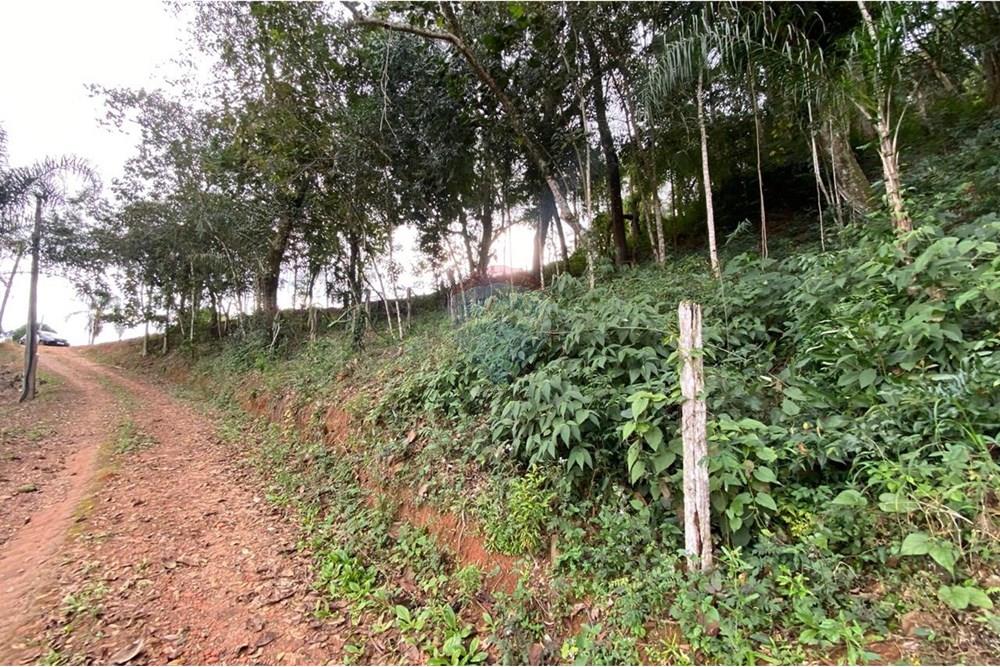 Terreno - Venda - Socorro , São Paulo - IMG-20250713-WA0554.jpg - 690291077-224