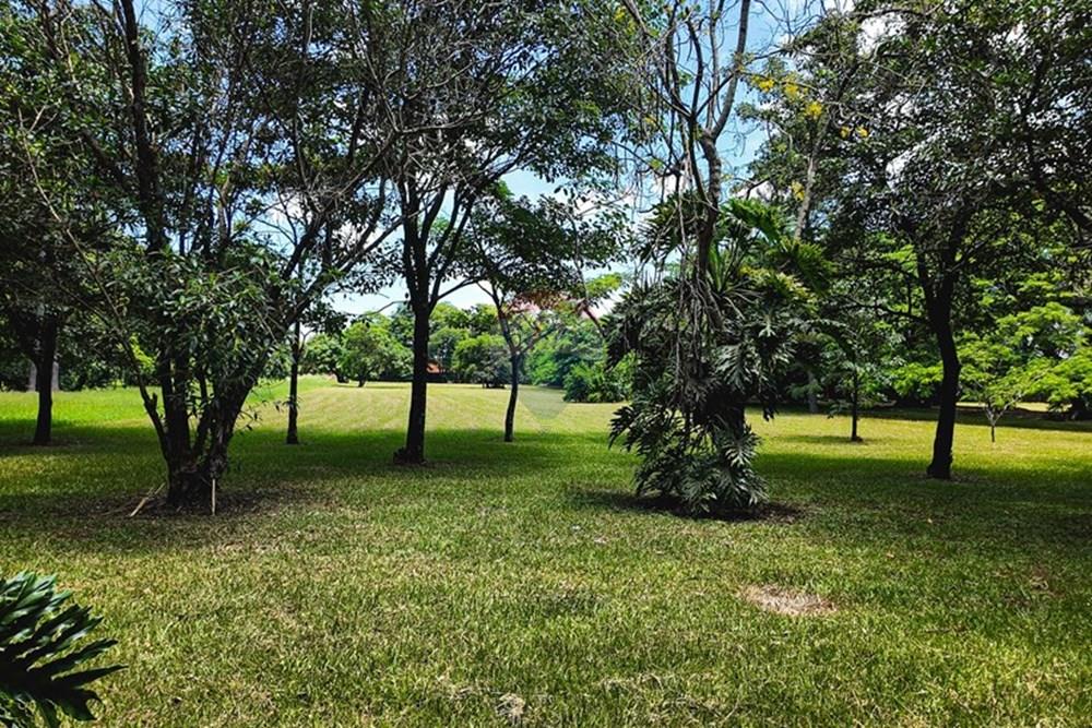 Terreno - Venda - Piracicaba , São Paulo - DJI_20250114110607_0013_D (1).jpg - 690041010-95