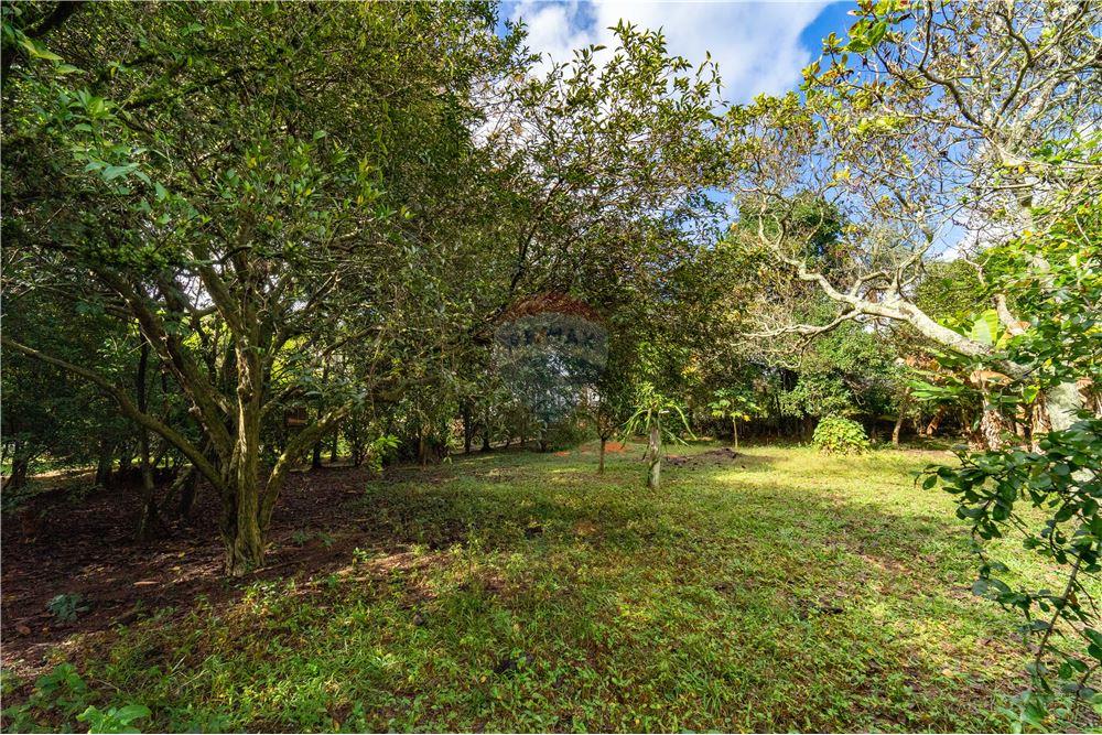 Chácara / Sítio / Fazenda - Venda - Jundiaí , São Paulo - 24 - 690361003-88