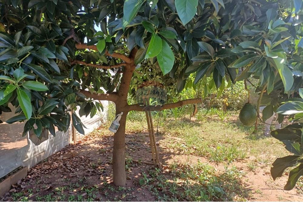 Terreno - Venda - Hortolândia , São Paulo - fujiko12.jpg - 690531095-32