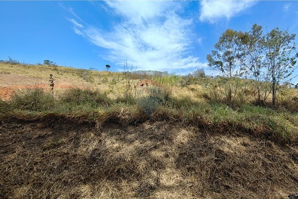 Terreno - Venda - Joanópolis , São Paulo - Imagem do WhatsApp de 2025-09-19 à(s) 11.52.11_da94c9a8.jpg - 691011025-2