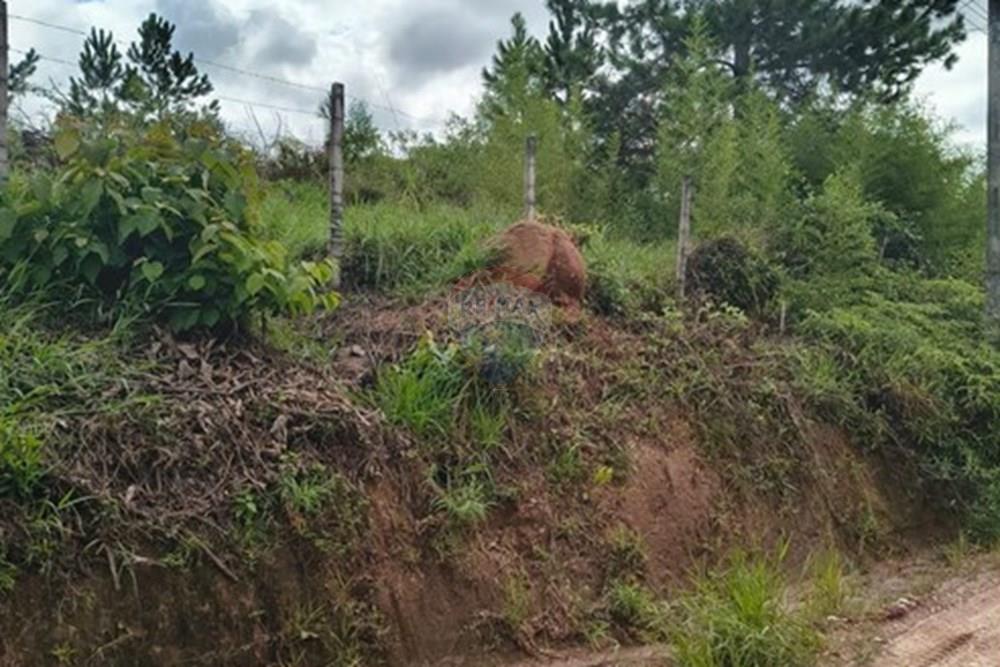 Terreno - Venda - Jarinu , São Paulo - WhatsApp Image 2025-05-04 at 10.41.24 (1).jpeg - 690661027-110