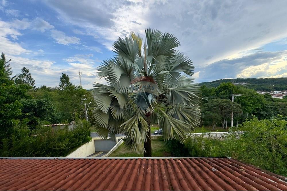 Casa - Venda - Registro , São Paulo - WhatsApp Image 2025-04-14 at 08.58.48 (1).jpeg - 690061033-14