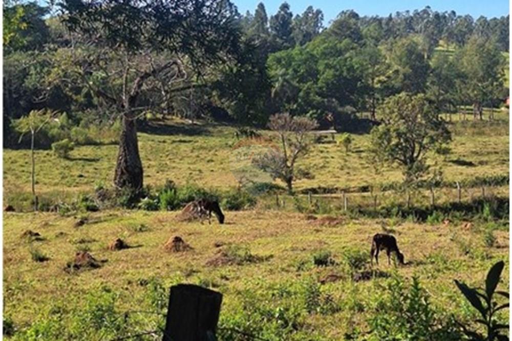 Chácara / Sítio / Fazenda - Venda - Itapira , São Paulo - 20250626_101030.jpg - 690751048-290