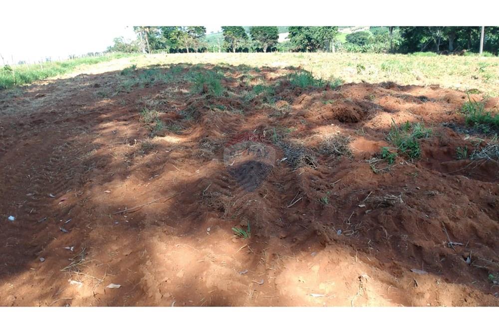 Fazenda - Venda - Campestre , Minas Gerais - f5b03874-a4b4-4fb1-9012-ea9ee2a1f10d.jpg - 690291077-77