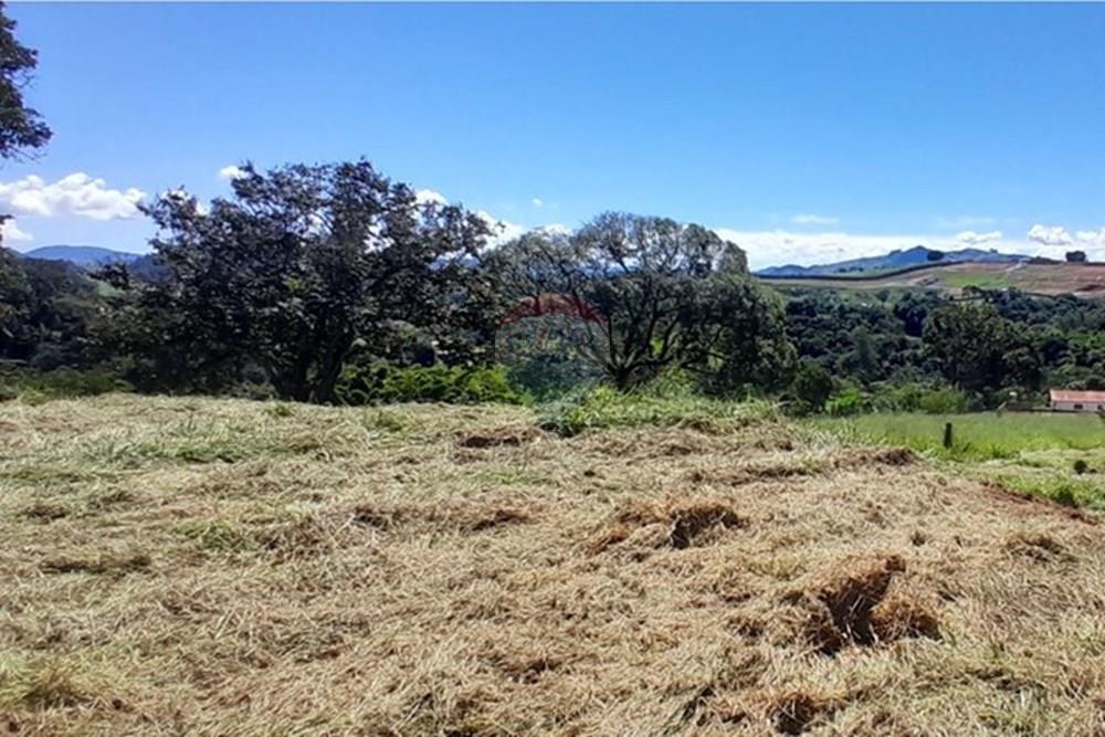 Terreno - Venda - Socorro , São Paulo - e055911d-44f5-4060-87c4-5f639d3ca705.jpeg - 690041146-23
