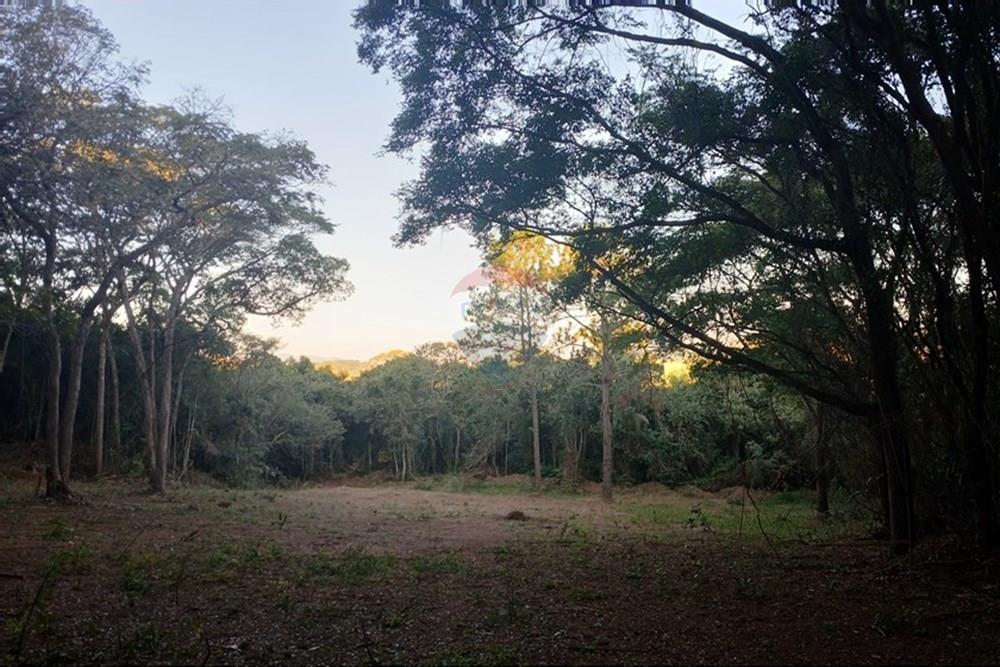 Terreno - Venda - Bragança Paulista , São Paulo - 20250530_164141.jpg - 690141085-18