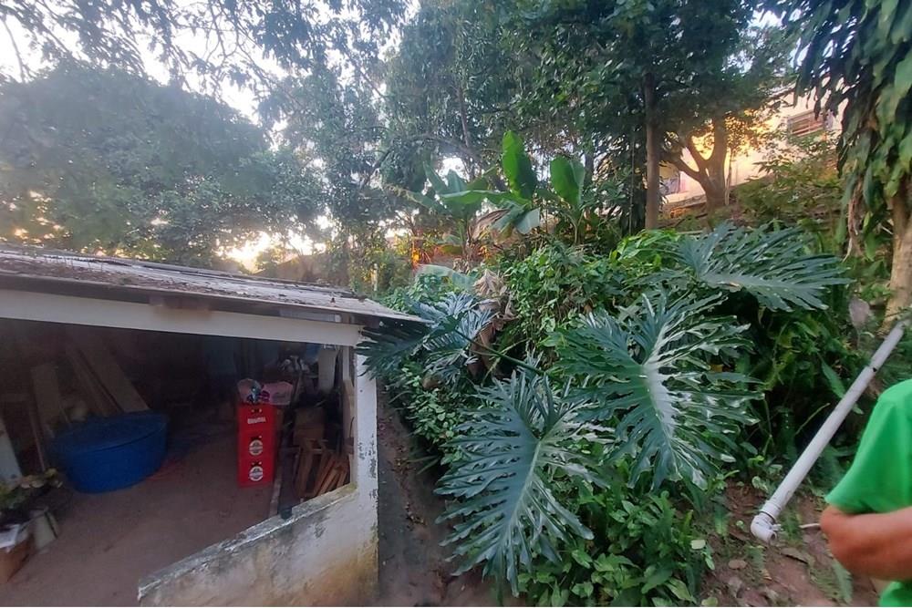 Chácara / Sítio / Fazenda - Venda - Lindóia , São Paulo - WhatsApp Image 2025-01-29 at 18.53.12 (2).jpeg - 690291077-252