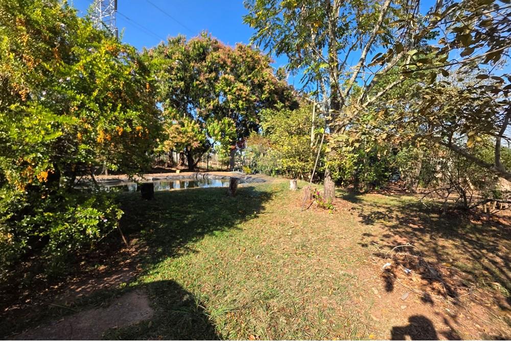 Chácara / Sítio / Fazenda - Venda - Estiva Gerbi , São Paulo - 20250818_091919.jpg - 690521115-74