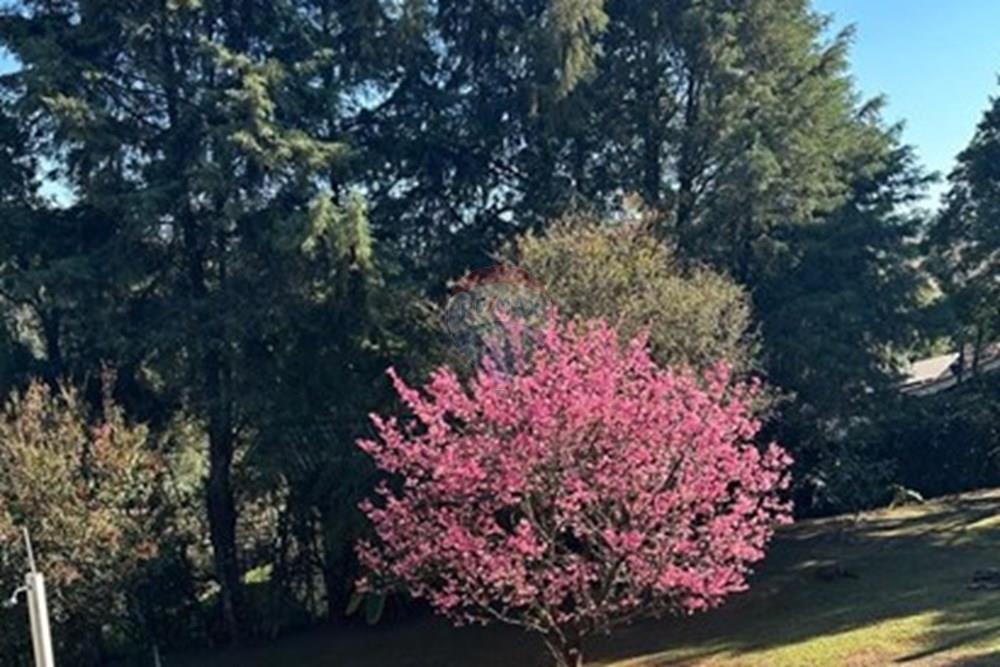 Chácara / Sítio / Fazenda - Venda - Jarinu , São Paulo - WhatsApp Image 2025-07-17 at 15.30.32.jpeg - 690661027-107