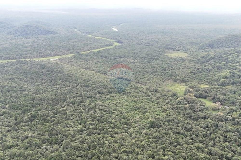 Fazenda - Venda - Iguape , São Paulo - WhatsApp Image 2025-08-11 at 16.22.17 (1).jpeg - 690061038-13