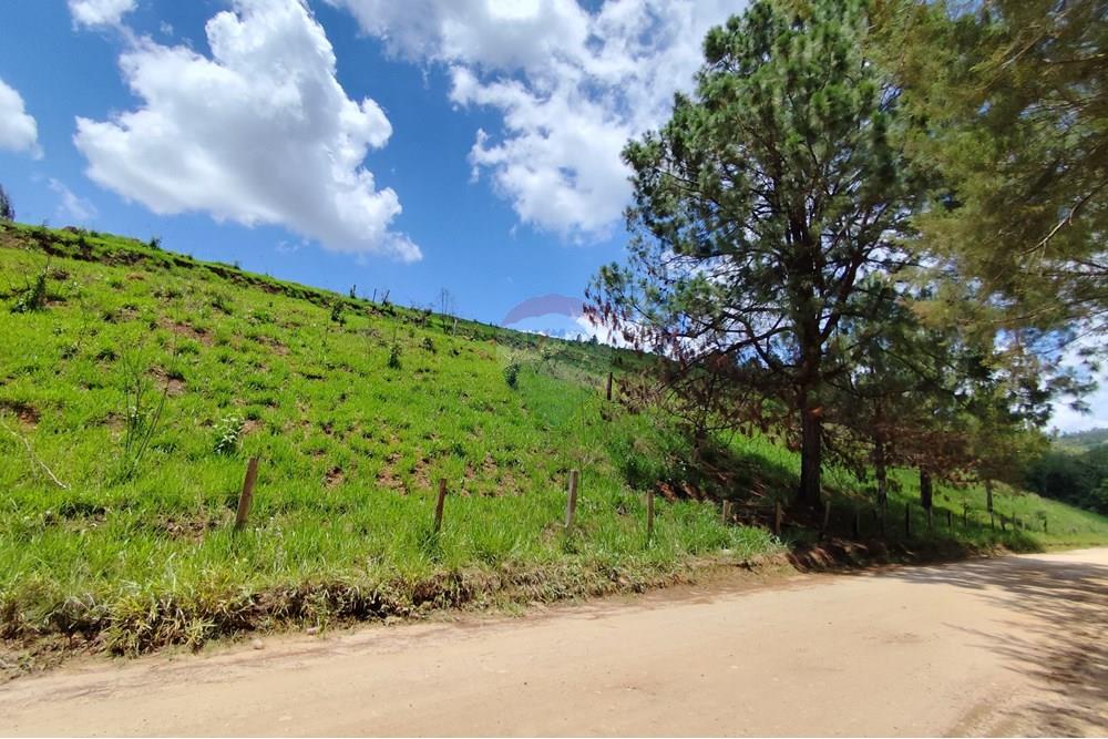 Terreno - Venda - Serra Negra , São Paulo - IMG_20241030_110913.jpg - 690291077-60