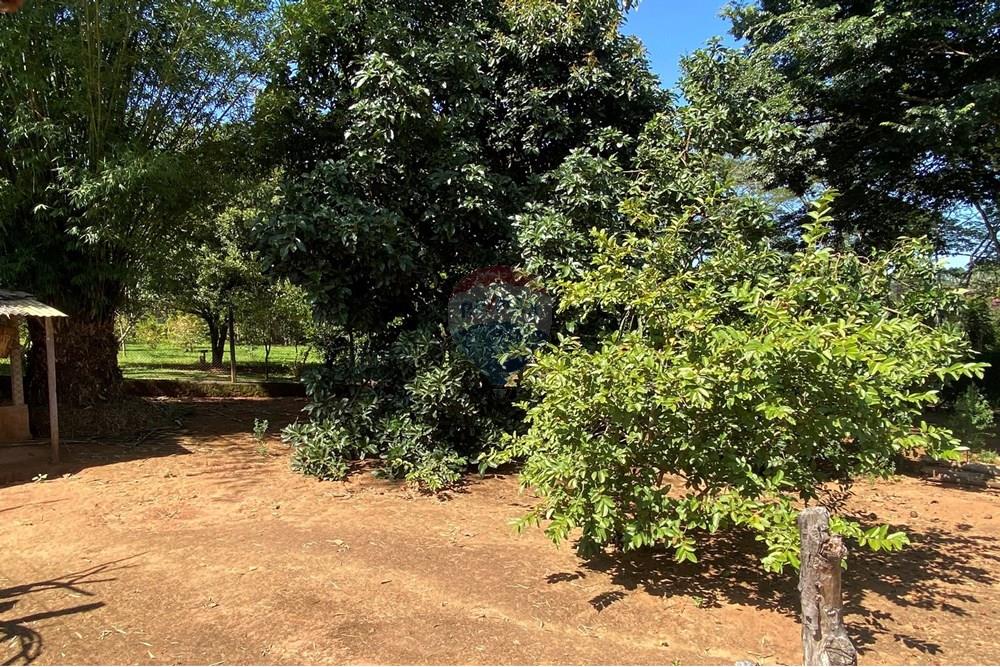 Chácara / Sítio / Fazenda - Venda - Jarinu , São Paulo - Z31.JPEG - 691121002-22