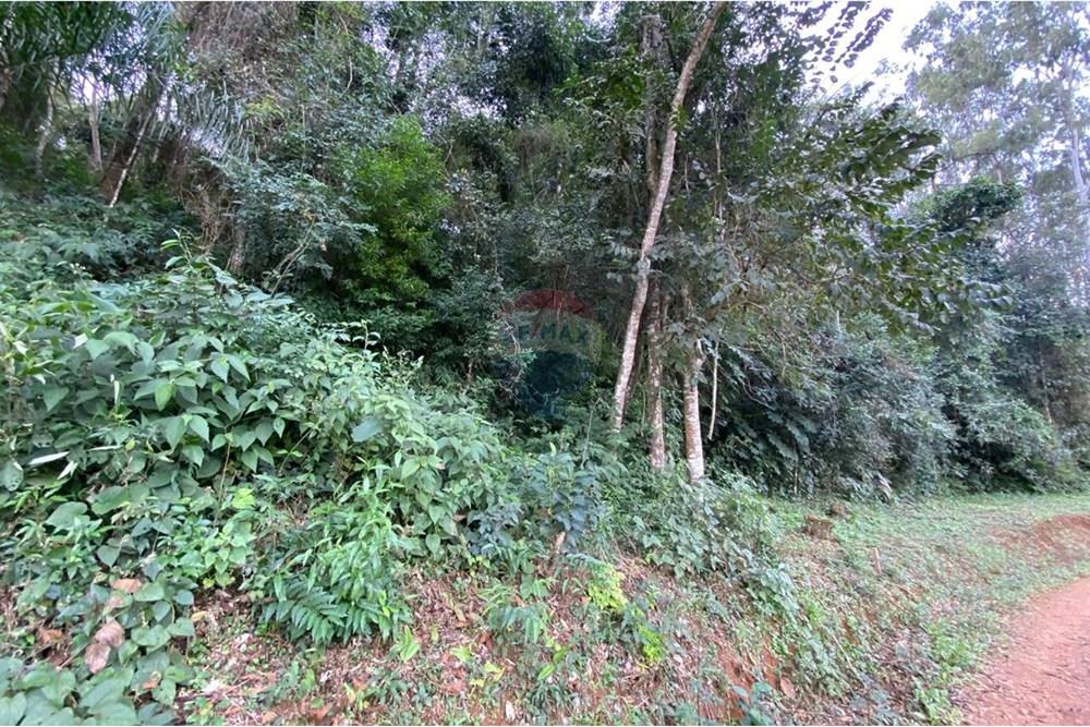 Terreno - Venda - Socorro , São Paulo - IMG-20250713-WA0552.jpg - 690291077-224