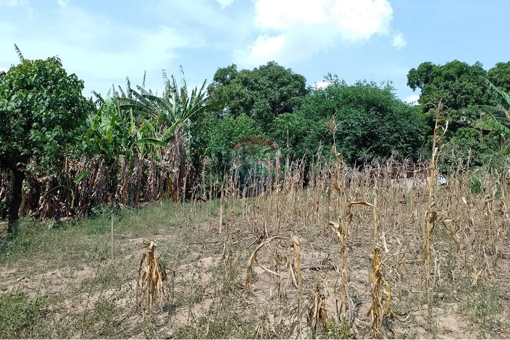 Terreno - Venda - Cosmópolis , São Paulo - fachada (5).jpg - Jardim Interno - 690831047-354