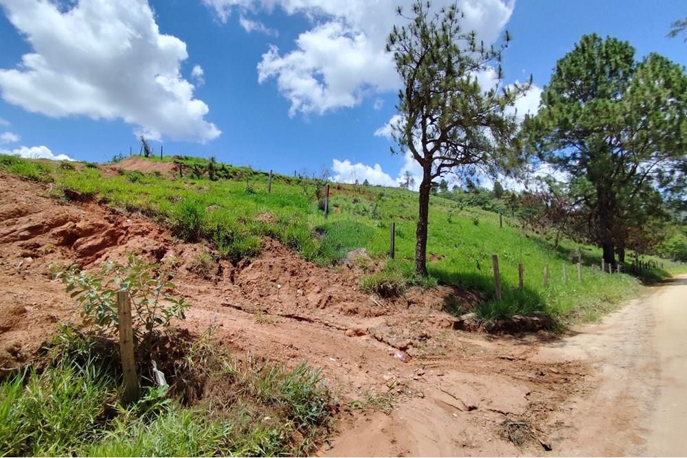 Terreno - Venda - Serra Negra , São Paulo - IMG_20241030_110816.jpg - 690291077-60