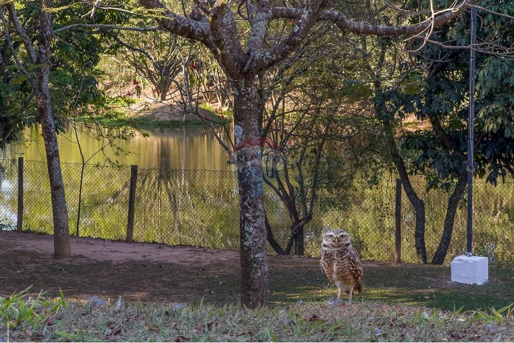 Casa de Condomínio - Venda - Louveira , São Paulo - TKD-7568.jpg - 690051046-26