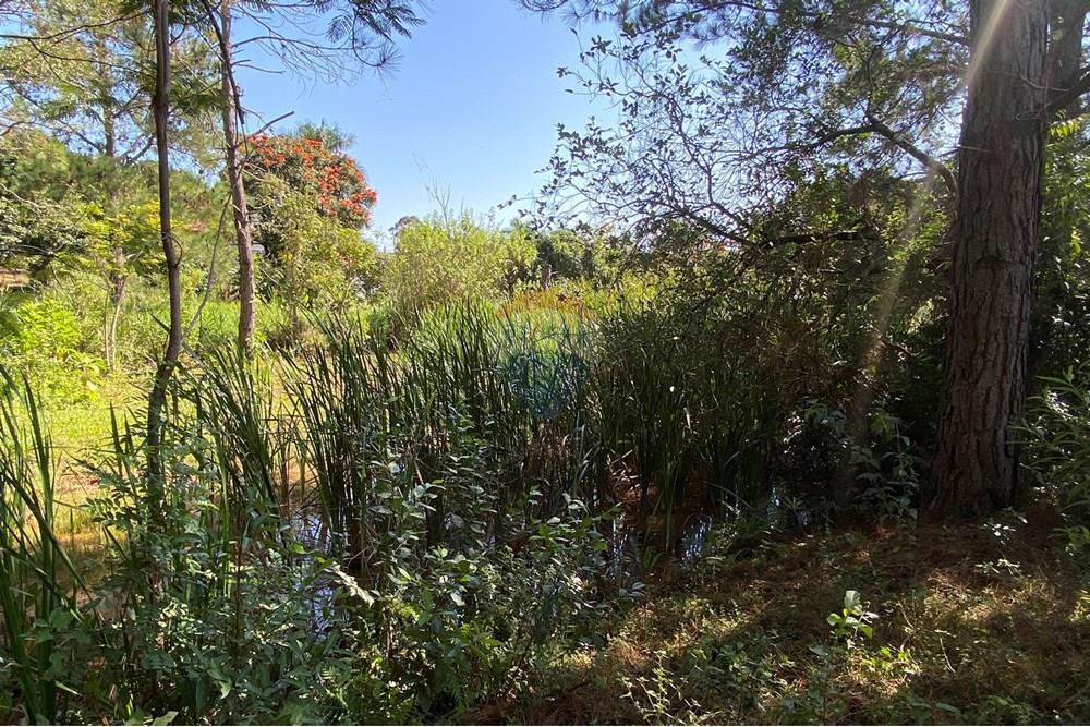 Chácara / Sítio / Fazenda - Venda - Jarinu , São Paulo - z16.JPEG - 691121002-11