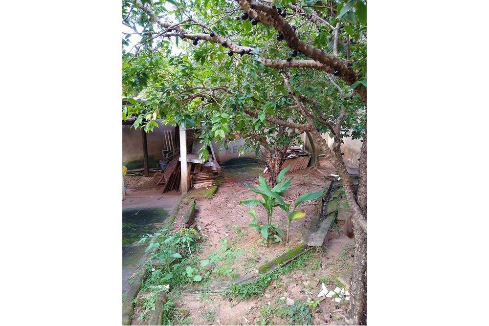 Chácara - Venda - Americana , São Paulo - IMG-20250531-WA0091.jpg - 691071014-5