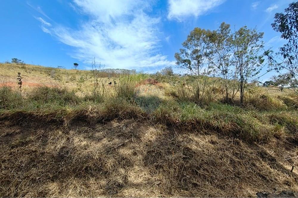 Terreno - Venda - Joanópolis , São Paulo - Imagem do WhatsApp de 2025-09-19 à(s) 11.52.11_da94c9a8.jpg - 691011025-2