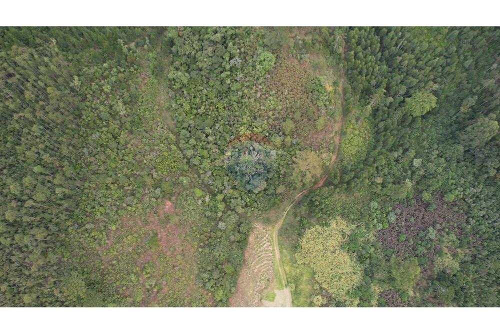 Chácara / Sítio / Fazenda - Venda - Joanópolis , São Paulo - WhatsApp Image 2024-11-19 at 09.21.30 (2).jpeg - 691011021-45