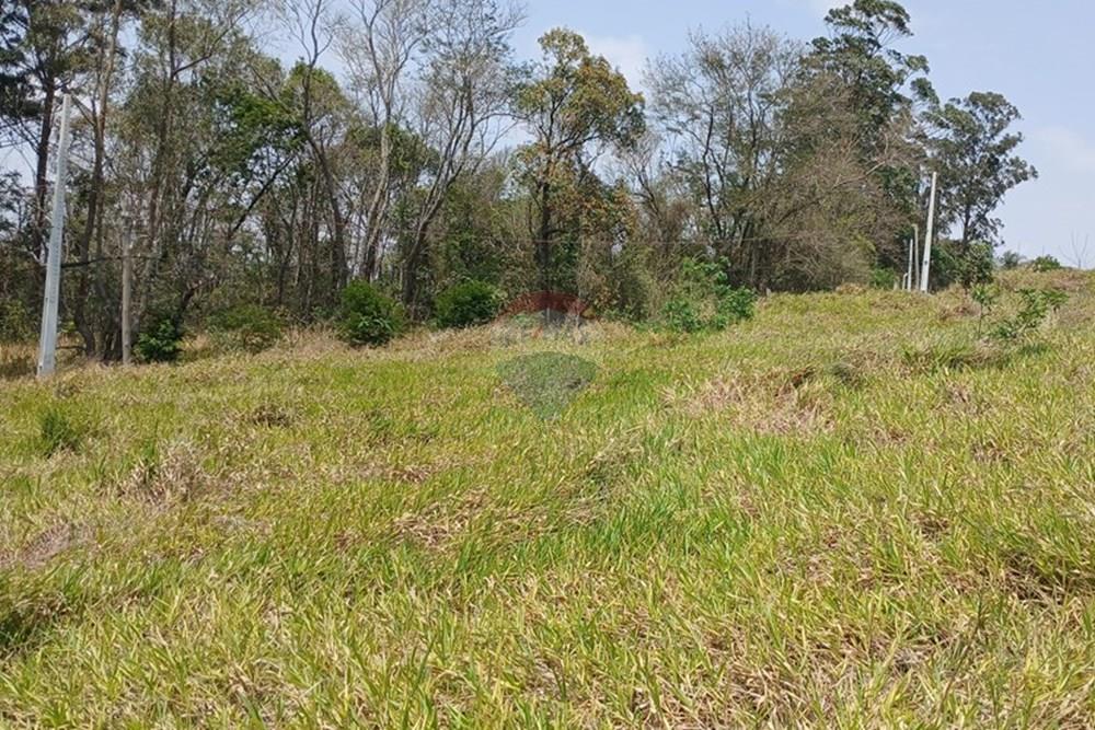 Terreno - Venda - Bragança Paulista , São Paulo - 20251007_111205.jpg - 690141085-26