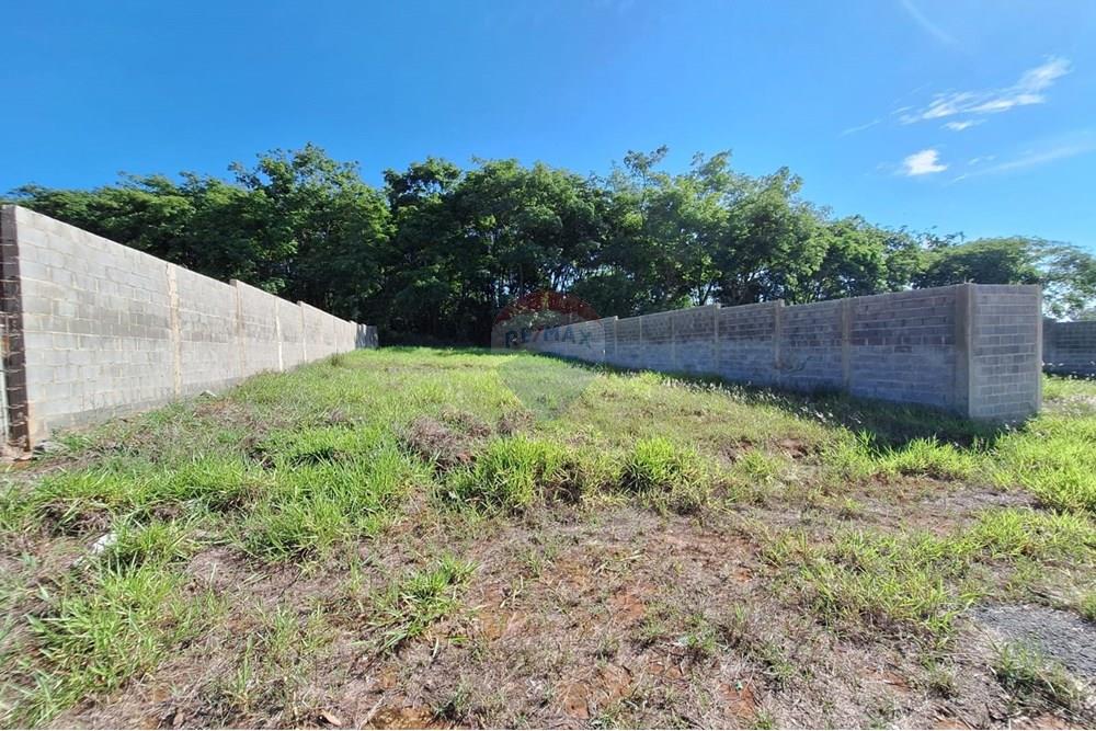 Terreno - Alugar - Mogi Mirim , São Paulo - IMG-20241209-WA0034.jpg - 690751048-95