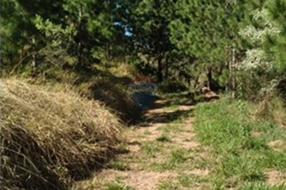 Chácara / Sítio / Fazenda - Venda - Serra Negra , São Paulo - WhatsApp Image 2025-01-14 at 18.09.43 (5).jpeg - 690681090-34