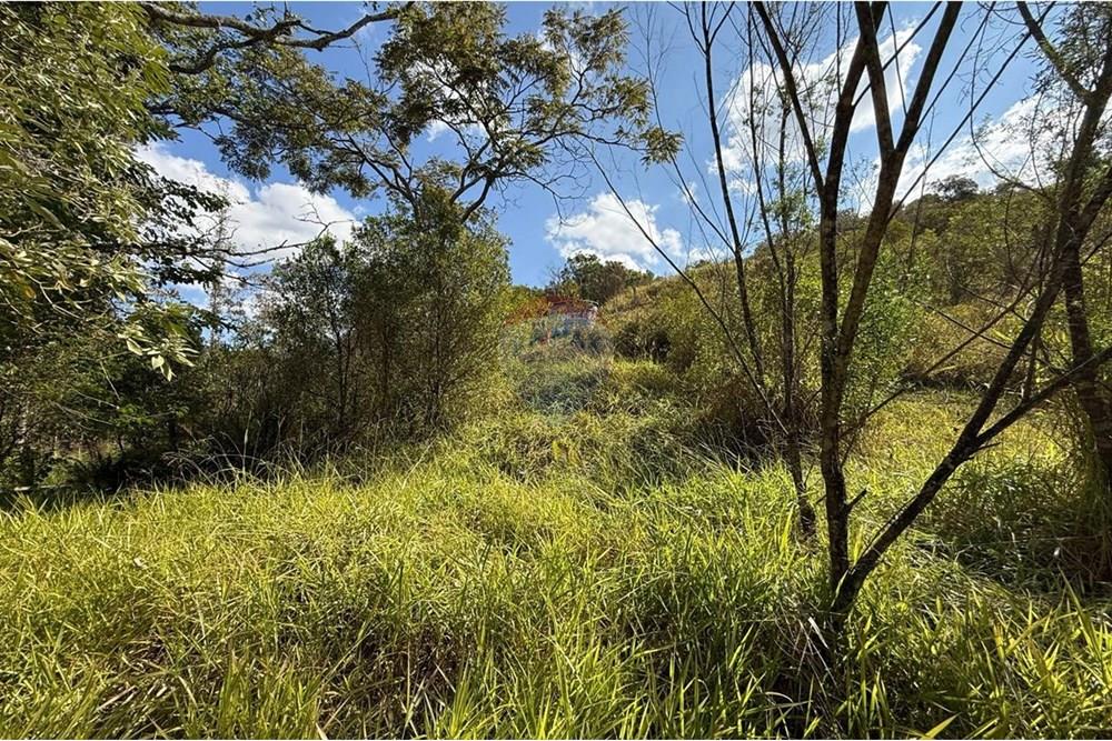 Chácara / Sítio / Fazenda - Venda - Ouro Fino , Minas Gerais - 247098c1-dd52-42f8-8cbe-248ccfad61a3.jpg - Jardim Externo - 690521014-121