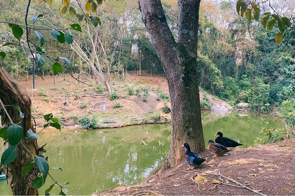 Sobrado - Venda - Cotia , São Paulo - IMG-20250904-WA0037.jpg - 691151027-11