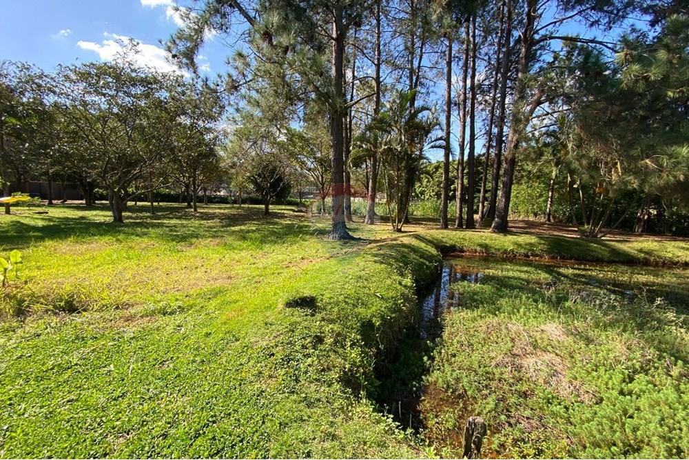 Chácara / Sítio / Fazenda - Venda - Bragança Paulista , São Paulo - b7d839bf-b98e-4d28-a6d4-85667c89110c.jpeg - 690041107-2