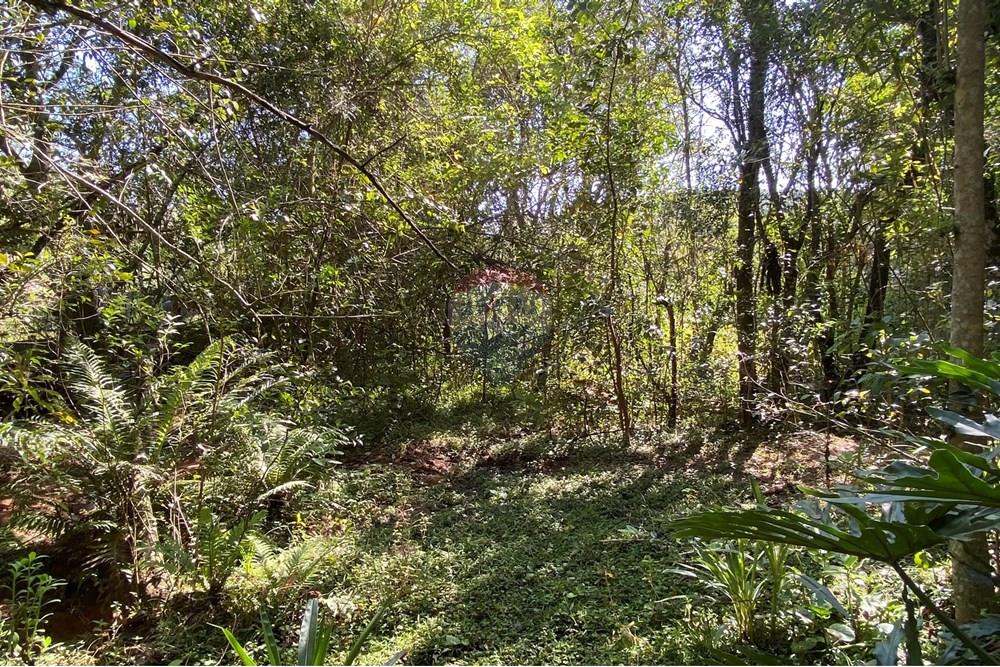 Chácara / Sítio / Fazenda - Venda - Jarinu , São Paulo - z13.JPEG - 691121002-11