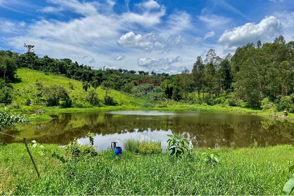 Fazenda - Venda - Campestre , Minas Gerais - IMG_6222.JPG - 690291077-77