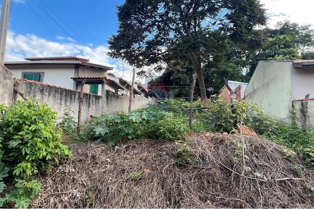 Terreno - Venda - Jarinu , São Paulo - IMG_3101.JPEG - 691121001-23